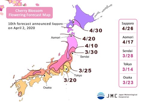 Japan Cherry Blossom Forecast 2020 Japan Travel Advice