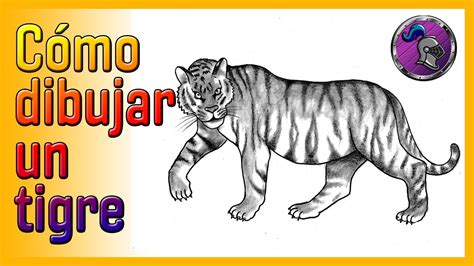 🐯cómo Dibujar Un Tigre Realista🐯 How To Draw A Tiger ️😀 Youtube
