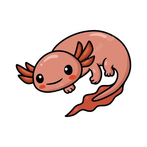 Cute Axolotl Clipart Transparent Png Hd Cute Axolotl Cartoon Vector