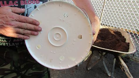 Then cover with dirt to the line you marked at 10″ (25.4 cm). Planting Potatoes in 5 Gallon Buckets, Part One - YouTube