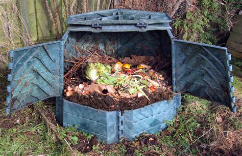 Things You Need To Know About Composting In 2020 Australian Handyman