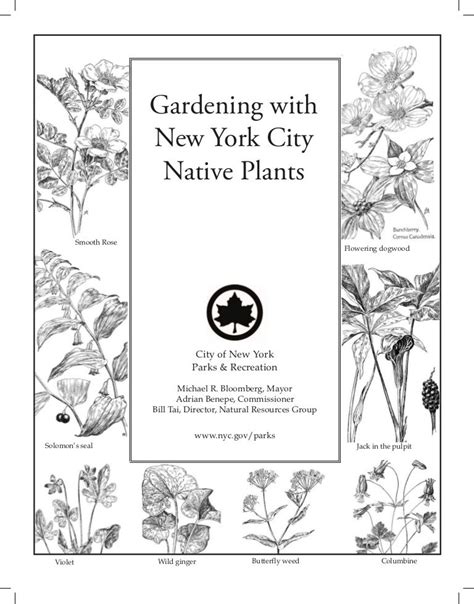 Gardening With New York City Native Plants