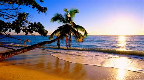 Скачай inverno seconds to paradise mizzleman remix. The meaning and symbolism of the word - «Paradise»