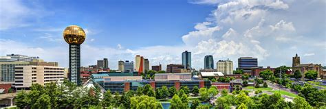 Knoxville Obituaries 2024 - Cayla Daniele