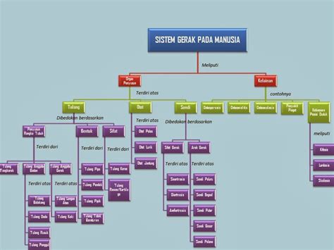 Peta Konsep Sistem Gerak Pada Manusia Pengertian Imagesee The Best