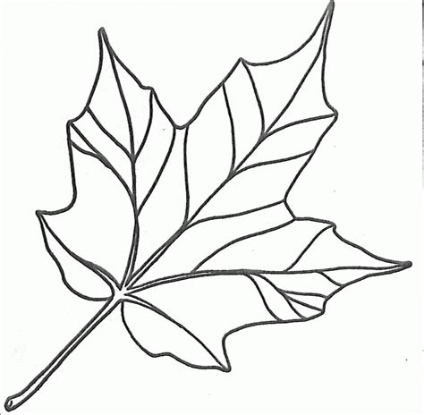 Maple Leaf Template Leaf Coloring Page Leaf Template Printable Leaf My Xxx Hot Girl
