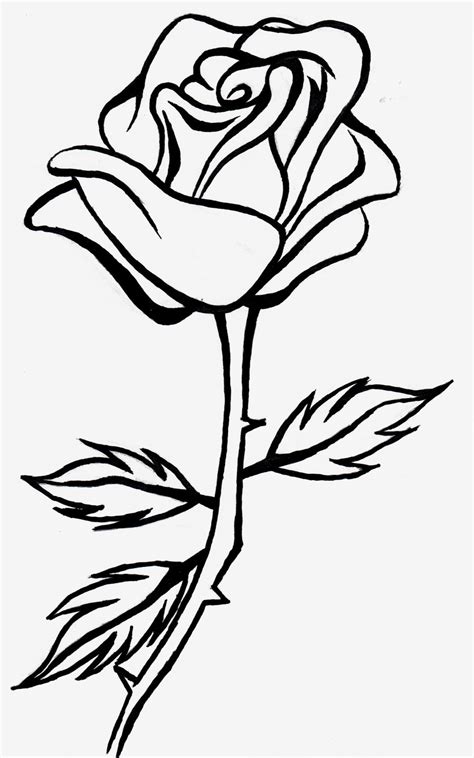 Rose Outline With Stem Clipart Best