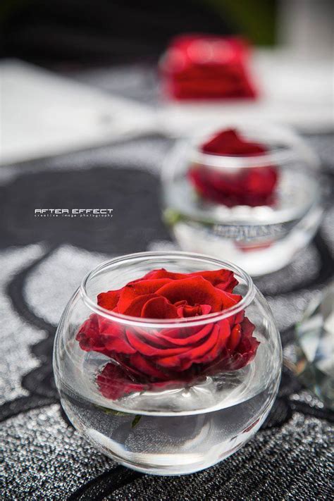 Floating Candle Centerpieces Rose Centerpieces Candle Decor 50th