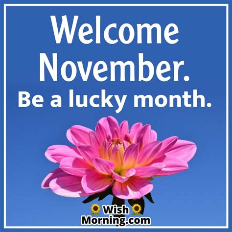 November Month Wishes And Quotes Wish Morning