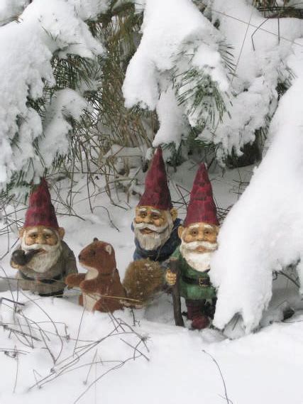 Gnome Stories At Whimsical Woods Woodland Gnomes