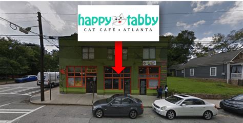 I visit almost every week, and sometimes multiple times in a week, and always thoroughly enjoy my time at java cats and also find it very. Revealed! Here's Where Happy Tabby, Atlanta's 'First' Cat ...