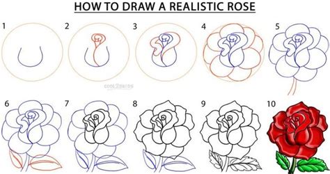 Képtalálat A Következőre „how To Draw Rose” Roses Drawing Flower