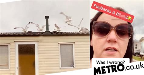 Mum Gets Revenge On Noisy Campers By Luring Squawking Seagulls Onto
