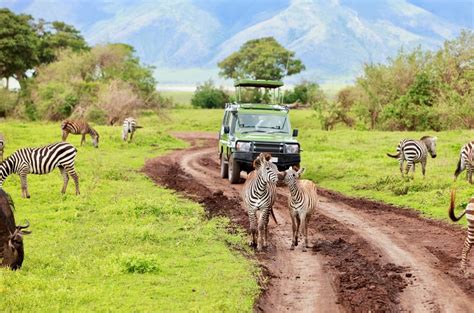 Safari à Travers 3 Des Plus Célèbres Parcs Nationaux De Tanzanie