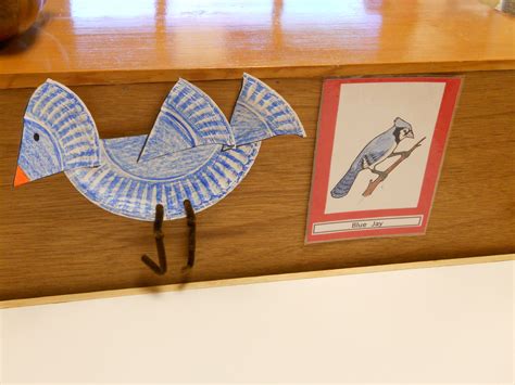 Pin By Katie Balagia On Birds Prek Theme Montessori Art Paper Plate