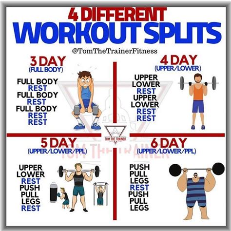 pin on gym workout tips and routines