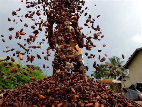Ivory Coast Battles Chocolate Companies To Improve Farmers Lives