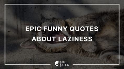 Epic Funny Quotes About Laziness During Quarantine Epic Quotes