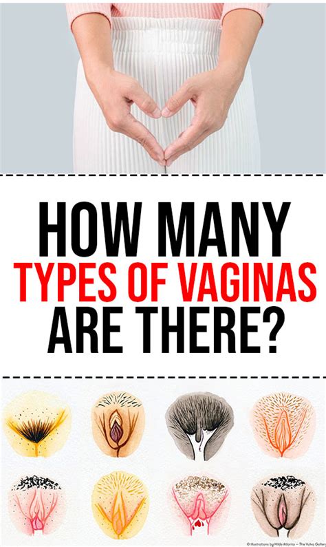 How Many Types Of Vaginas Are There LIVE VIBE