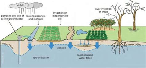 Causes Of Irrigation Salinity Reproduced From 35 Download