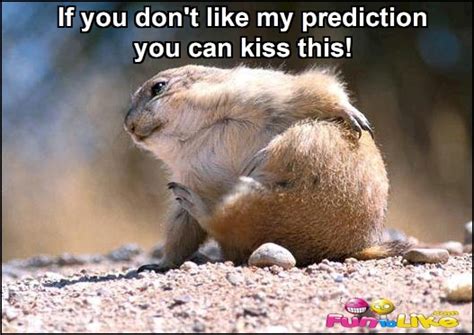 A Little Dose Of Happy With Cute And Funny Groundhog Memes Friday