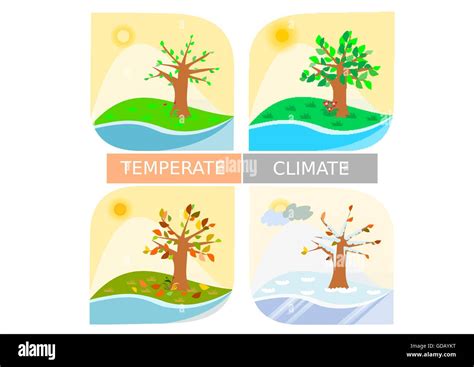 Ilustraciones Para Clima Templado Clima Four Seasons Imagen Vector De