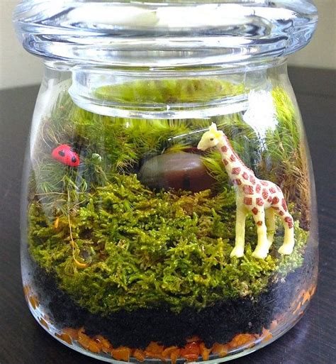 Diy Moss Terrarium Miniature Garden Kit With By Hophouseterrariums 29