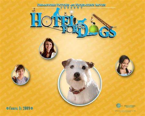 Hotel For Dogs Movies Wallpaper 1150054 Fanpop