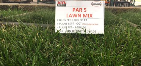 Par 5 Turf Type Tall Fescue Lawn Grass Seed Nixa Hardware And Seed Company