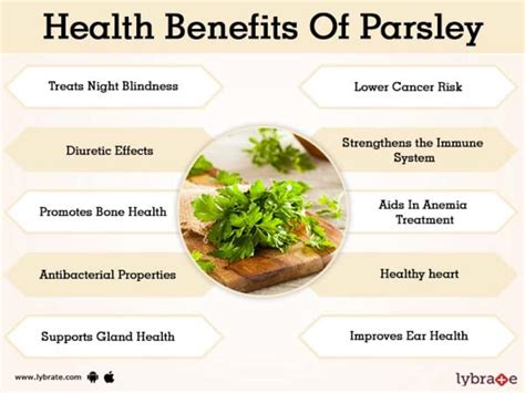 Benefits Of Parsley And Its Side Effects Lybrate