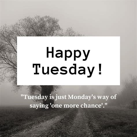 Happy Tuesday Quotes 220 Positive Quotes To Start Your Day