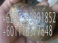We did not find results for: PEMBELI BATU LANDAK GELIGA LANDAK.. HARGA OK..: Jual Beli ...