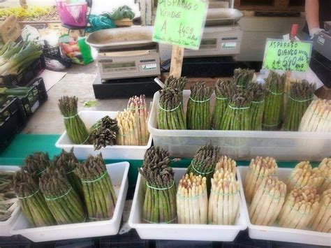 Asparagus Life In Italy