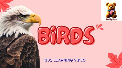 Birds Bird Names Names Of Birds Learnings Birds Teddy Bear Kids