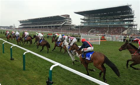Cheltenham festival odds & betting from oddschecker. Key Betting Questions That Need Answering Before the 2021 ...