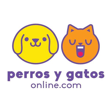 Perros Y Gatos Online Guayaquil