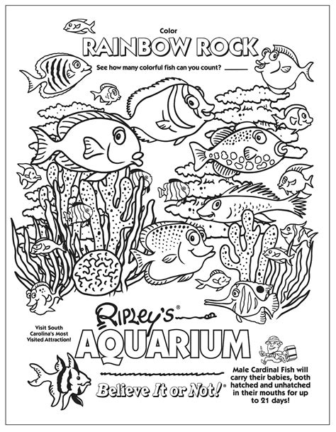 Aquarium Coloring Pages Coloring Easy