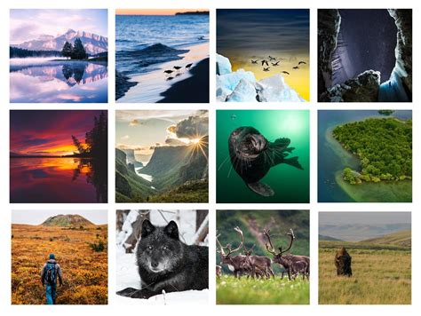 Canadian Geographic Best Wildlife Photography 2021 Wildlife Aestetic 2021