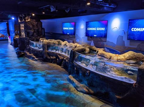 Sea Life London Aquarium Rock Pool System Aqua
