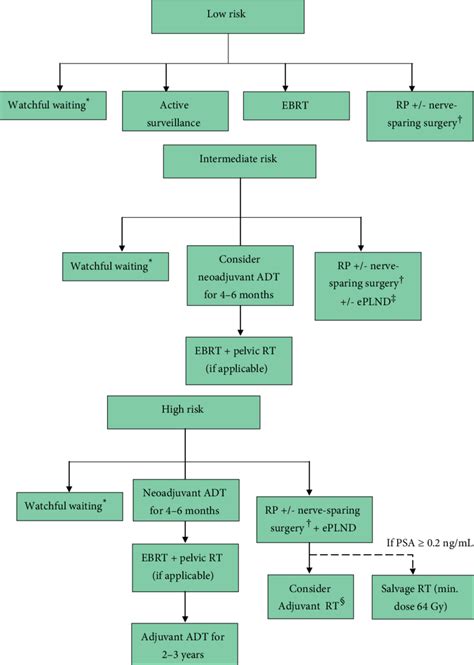 Profuse intestinal bleeding, intestinal perforation. Localized prostate cancer treatment algorithm. *Offer to ...