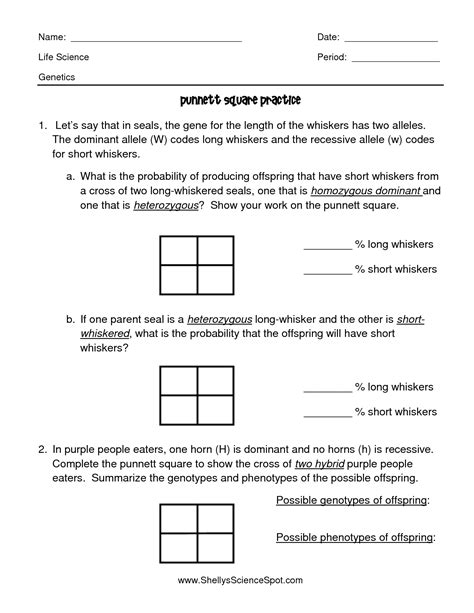 Printable Punnett Square Practice Worksheet