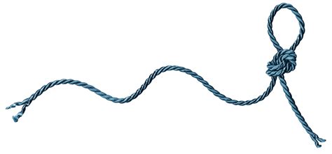 Collection of Strings PNG. | PlusPNG