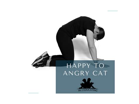 Happy To Angry Cat Stretch Teaching Resources