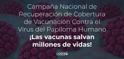 Campaña Nacional De Recuperación De Cobertura De Vacunación Contra El