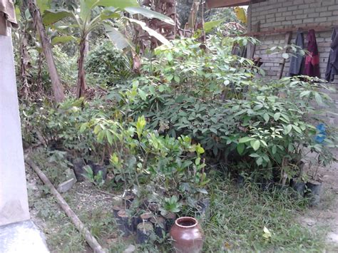 Mcm2 benda yg nak dicari dlm hidup ni tp belum tentu semua dpt dicapai.silap2 satu pun tak dpt dicapai.yg paling penting adlh perancangan & tindakan utk. ikan sungai banyak tulang: Projek dah bermula.....