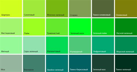 Зеленые натяжные потолки — заказать по выгодной цене в СПб