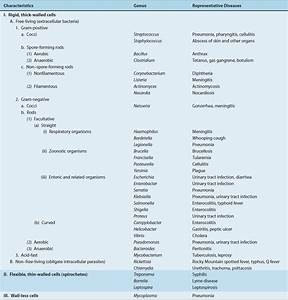 Classification Of Medically Important Bacteria Basicmedical Key