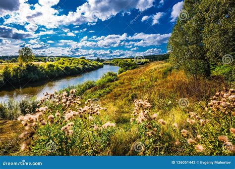 Summer River Landscape Siberia Russia Stock Photo Image Of Flora