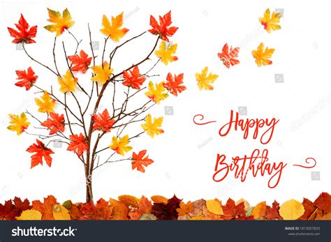 22,178 November Birthday Images, Stock Photos & Vectors | Shutterstock