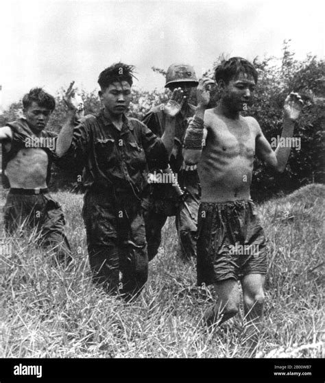Vietnam Suspected Communist Insurgent Prisoners Of War Captured During The 1968 Tet Offensive
